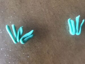 Small gum paste carrot leaves arranged on a work surface.