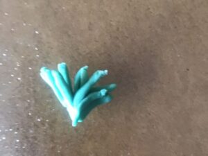 Green gum paste shaped into small carrot leaf clusters.