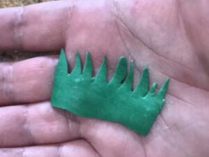 Green gum paste rolled and cut into grass-like carrot tops.