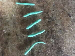Thin green gum paste strips shaped into carrot leaves on a work surface.