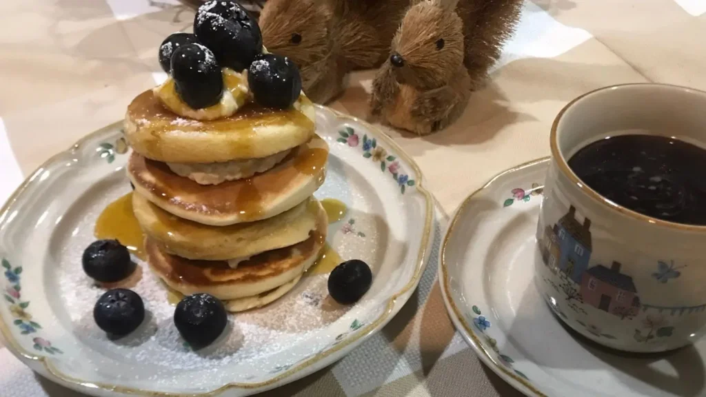 A stack of golden South African crumpets with whipped cream, syrup, and blueberries on a floral plate, dusted with powdered sugar.