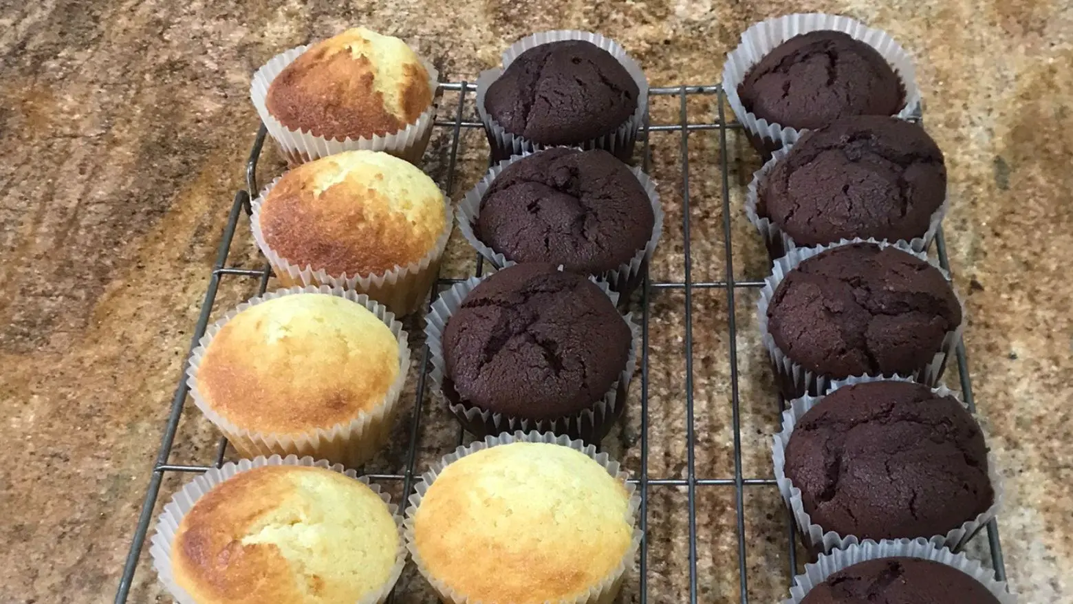 Freshly baked vanilla and chocolate cupcakes in paper liners cooling on a wire rack on a granite countertop.
