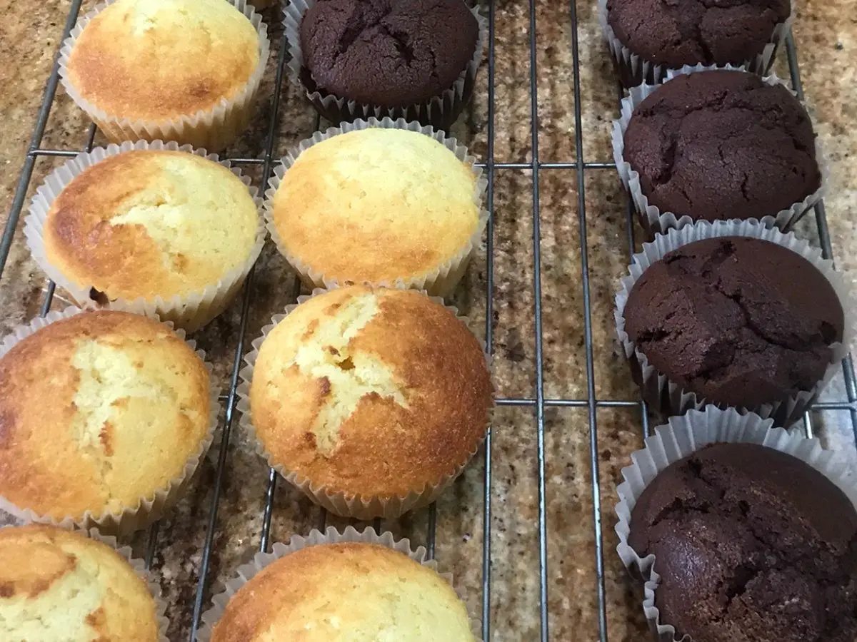 Freshly baked chocolate and vanilla cupcakes cooling on wire racks
