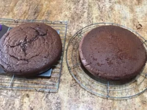 Freshly baked chocolate cake layers cooling on a rack